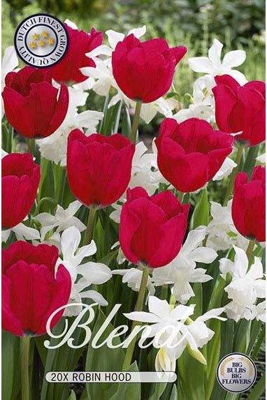 Tulipan/Narcissus Robin Hood 20-pakning